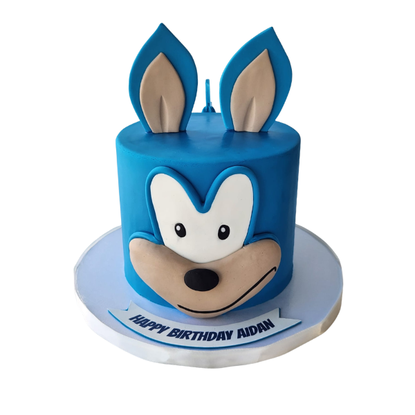 Blue Adventure Cake #BA0724