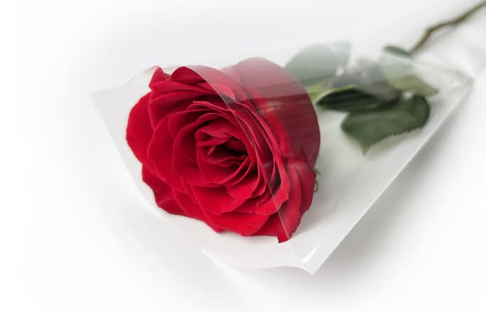 1x Rose